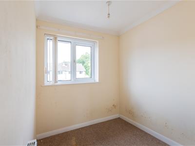 Picture 20